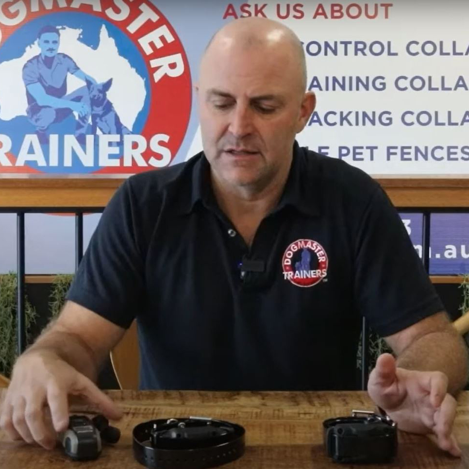 Are E-Collars safe to use? And how to test them at home.