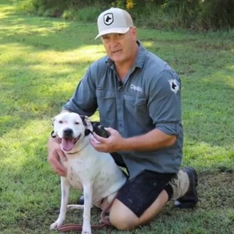 Transform your dog training with remote training collars Transform your dog training with remote training collars