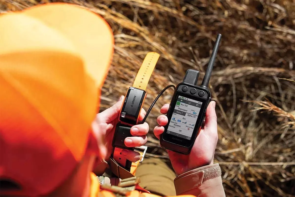 GPS Tracking Collars: Your Questions Answered