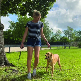 3 Tips On How To Choose The Best Dog Training Tools