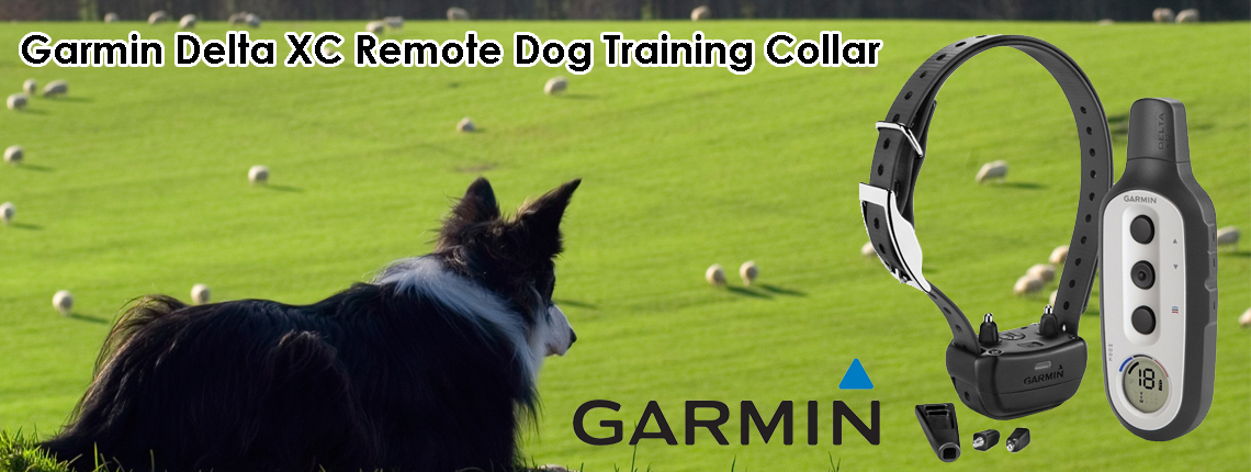 Which Remote trainer to buy? Which Remote trainer to buy?