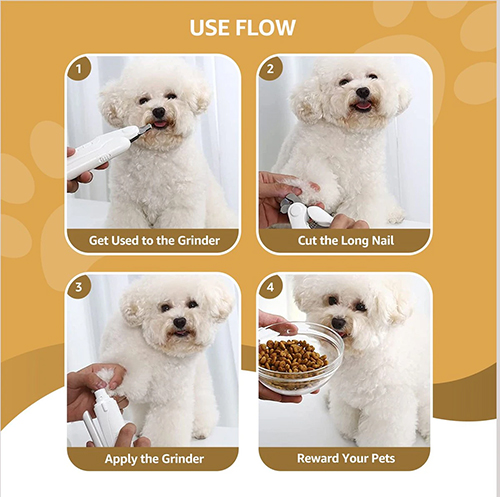 What To Do If Your Dog Has A Broken Nail What To Do If Your Dog Has A Broken Nail