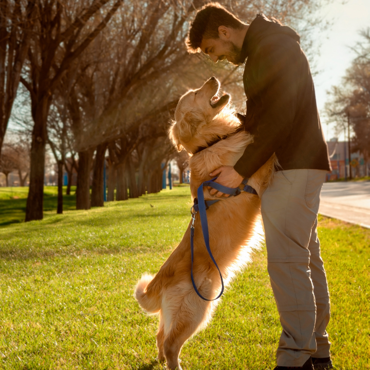 How To Deal With Resource Guarding In Dogs How To Deal With Resource Guarding In Dogs