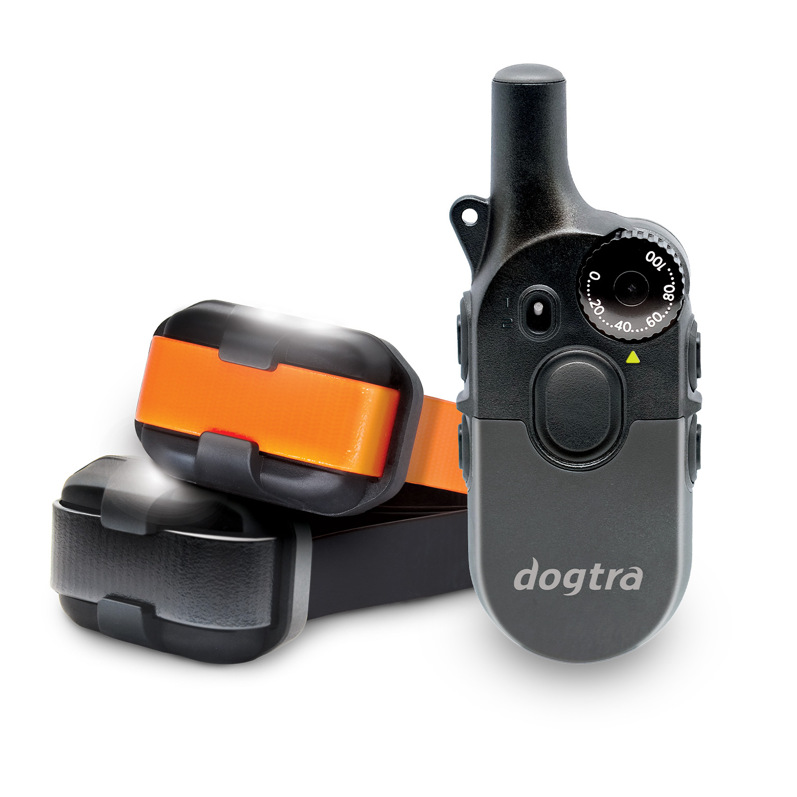 Training Collars for 2 Dogs
