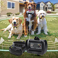 dog master training collars