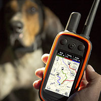 Zusammenfassung unserer favoritisierten Anti bark collar