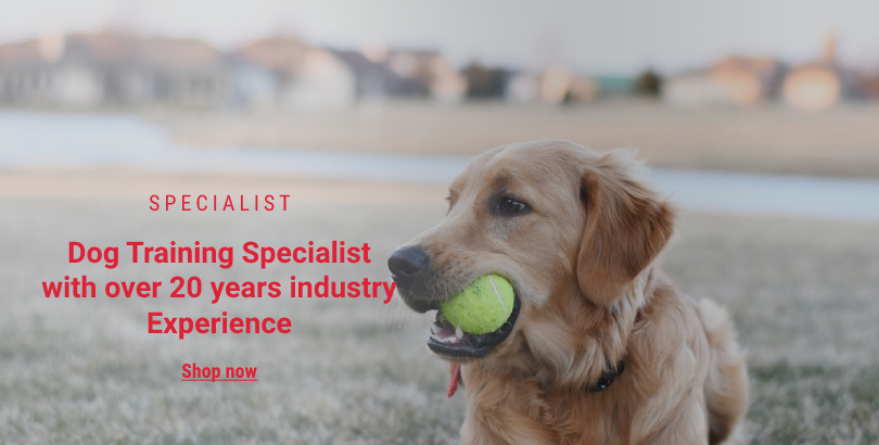 Dog Training Specialist