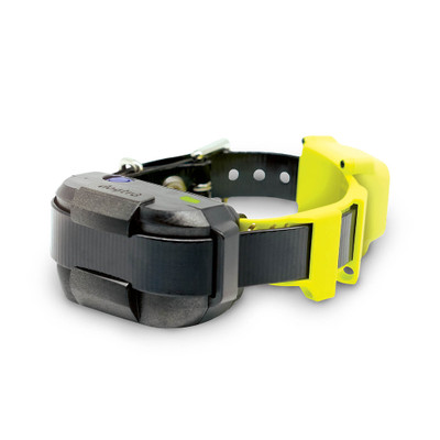 Dogtra GPS Containment Fence