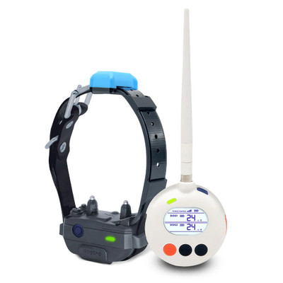 Dogtra Smart Wireless Fence