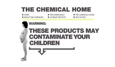 The Chemical Home - a consumer's guide to toxic chemicals The Chemical Home - a consumer's guide to toxic chemicals