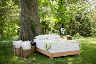 Mattresses and Box Springs Mattresses and Box Springs