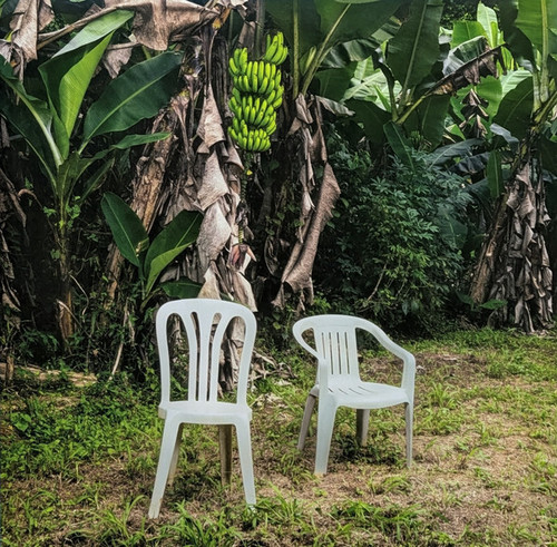 Bad Bunny "Debí Tirar Más Fotos" White [Opaque] Vinyl, 2-LP Set, Album, Reissue, Stereo (2026 Rimas Entertainment/Bad Bunny MPO Pressing)