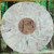 Movements "Movements Live at Studio 4" Marble Mint Vinyl, 2-LP Set, Album (2021 Fearless Records pressing)