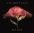 Animotion "Raise" Vinyl, LP, Album, Stereo (2016 Invisible Hands Music pressing)