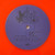 Caesar Daniel "Never Enough" Orange Vinyl, 2-LP Set, Album, Limited Edition (2023 Republic Records pressing)