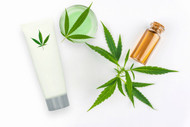 Full Spectrum vs. Broad Spectrum: Choosing the Right CBD Skincare for Your Lifestyle