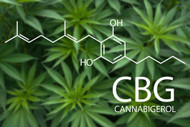 Meet CBG: Why the "Mother Cannabinoid" is the Ultimate Tool for Daytime Focus