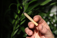 Mindful Puffing: The Art of Controlled, Balanced, and Functional Consumption