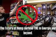 The Future of hemp in Georgia