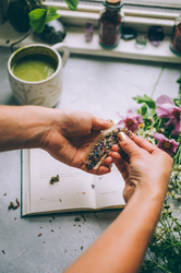 The Art of the Clean Burn: Why Organic Smoking Herbs are Replacing Tobacco