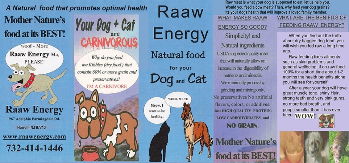 Ellington Ct Susan Raaw Energy Dog Food