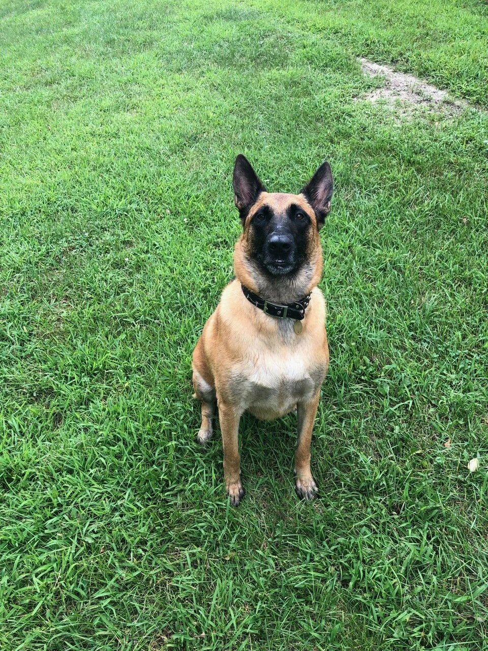 Italian-Beef-Pork 2 pound tubes - 10 Lb.