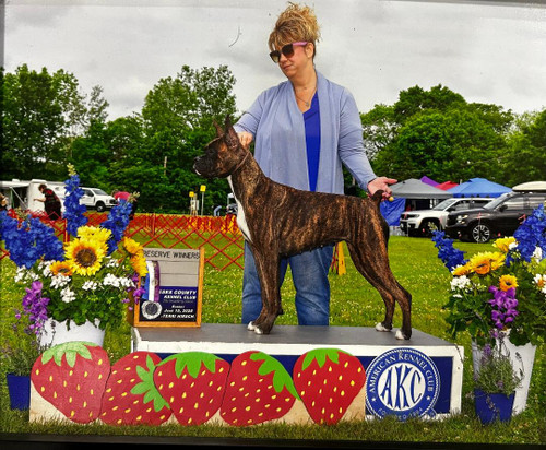 Ellington Ct –Susan