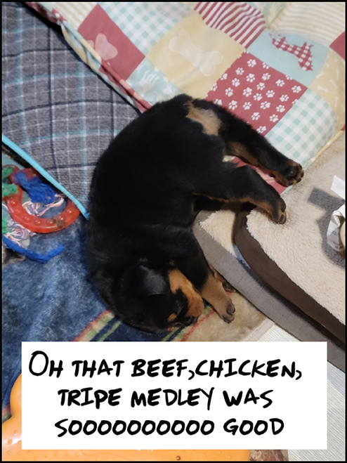 Beef, Chicken, Tripe Medley  - 5 pound tubes -50 lb