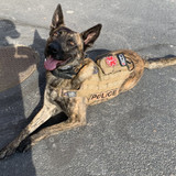 Active Carry/Safeguard Med Pak K-9