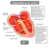 Cardio Series