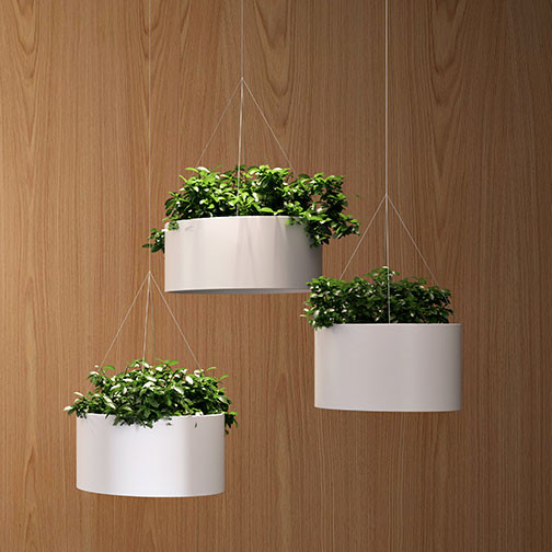 Magnuson Green Cloud Hanging Planters - Wood Background