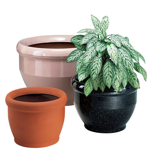 Peter Pepper Kettle Planter Group - Fiberglass

Image Shown to Illustrate Design - Not to Scale