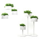 Magnuson Green Cloud Planters