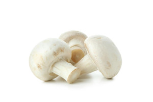 Aroma Natural de Champiñón Polvo