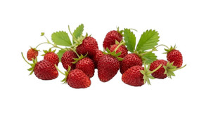 Aroma de Fresa del Bosque Hidrosoluble