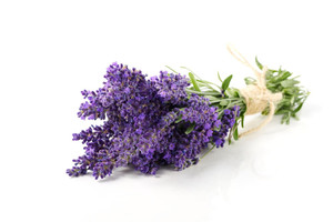 Aroma de Lavanda Polvo