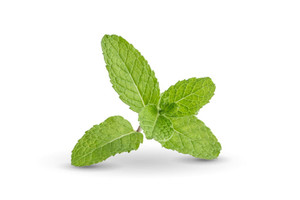 Aroma de Menta Liposoluble