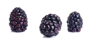 Aroma de Mora Hidrosoluble