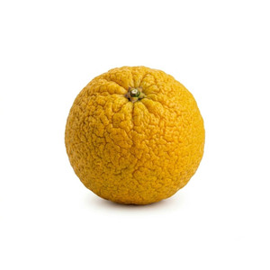 Aroma de Naranja Amarga Pasta