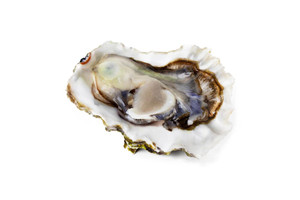 Aroma de Ostra Hidrosoluble