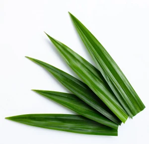 Aroma Natural de Pandan Liposoluble