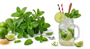 Concentrado de Aroma Natural de Mojito 1+8
