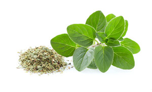 Aroma Natural de Orégano Pasta