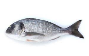 Aroma de Pescado Liposoluble