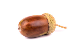 Aroma de Bellota Liposoluble