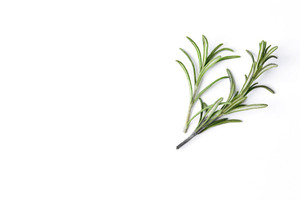 Aroma Natural de Tomillo Polvo