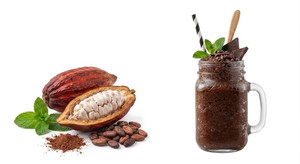Concentrado de Aroma de Cacao 1+4
