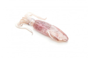 Aroma de Calamar Polvo