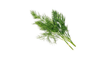 Aroma Natural de Eneldo Polvo
