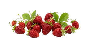 Aroma Natural de Fresa del Bosque Polvo